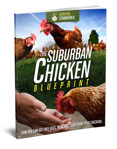 Suburban Chicken Blueprint