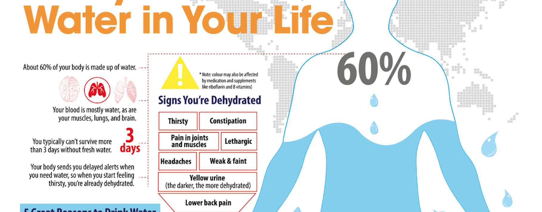 Your Body’s Needs Survival Stronghold