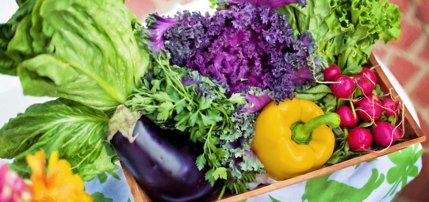 Keeping Monsanto Out of Your Garden