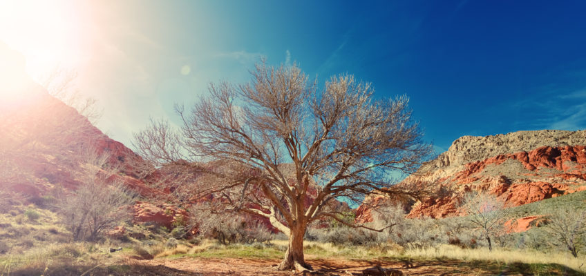3 Tips for Surviving in the Heat