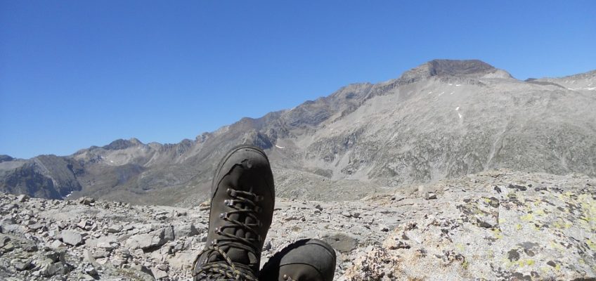 Essential Skills for Survival Newbies
