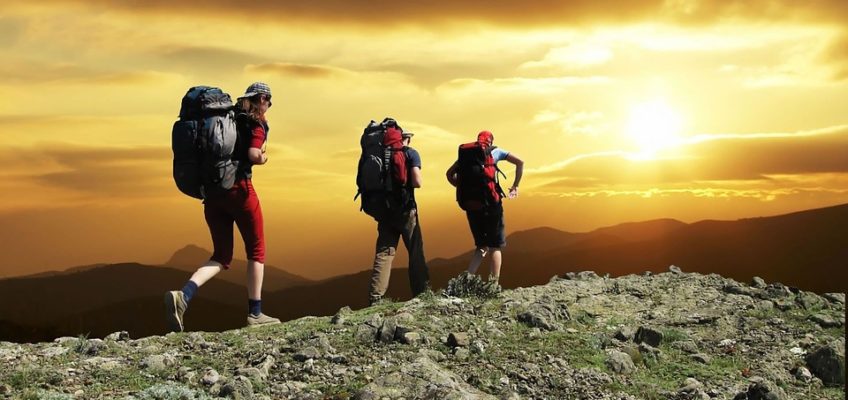 Are You in Shape to Survive?