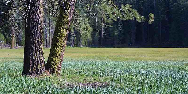 Five Common Survival Myths That Could Kill You