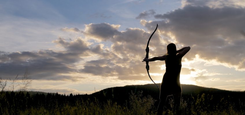 Learning to Hunt With Other Tools