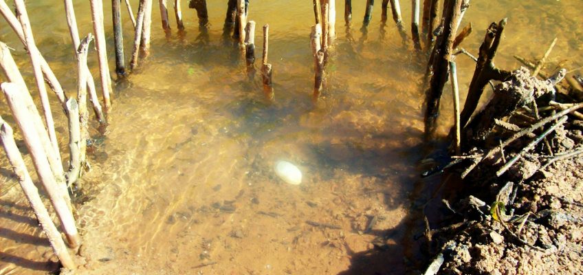Static Fish Trap