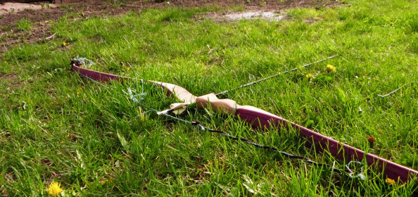 Building a Survival Bow