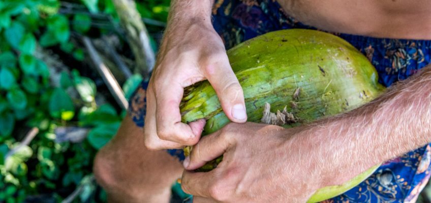 Coconuts for Survival