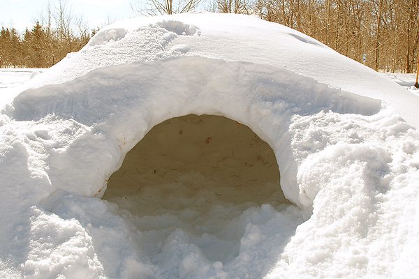 How to Build an Arctic Survival Shelter