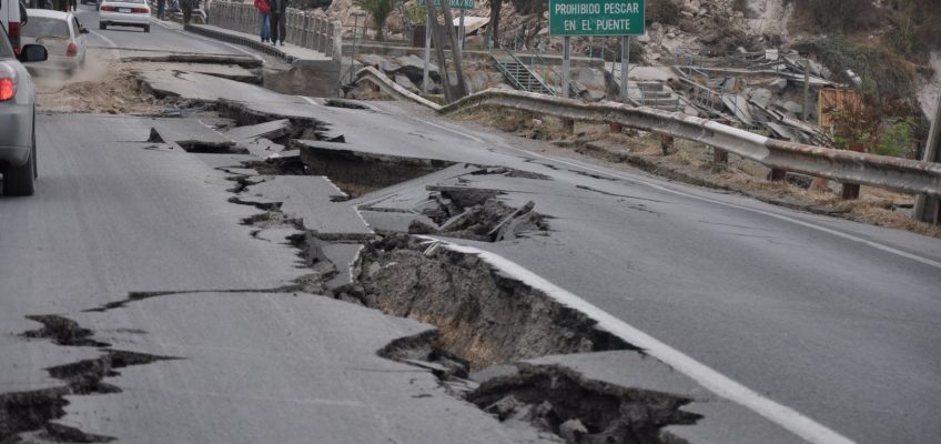 Earthquake Survival