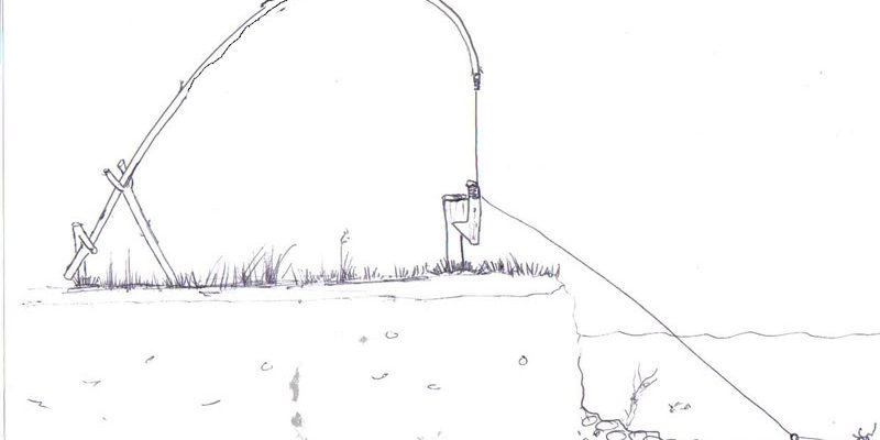 Fish Snare