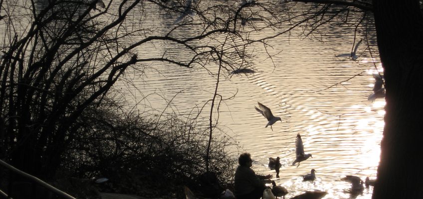 Fishing for Birds
