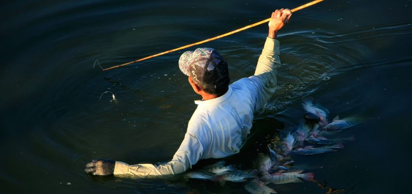 Tips for Spear Fishing