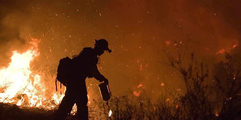 Wildfire Survival Tips