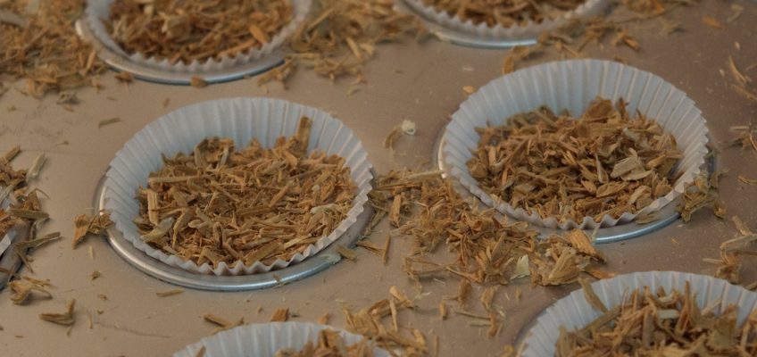 Make a Wax Coin Fire Starter