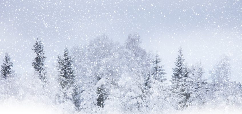 Lost Hiker Survives Blizzard