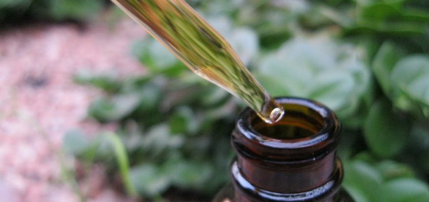 How to Make Herbal Tinctures