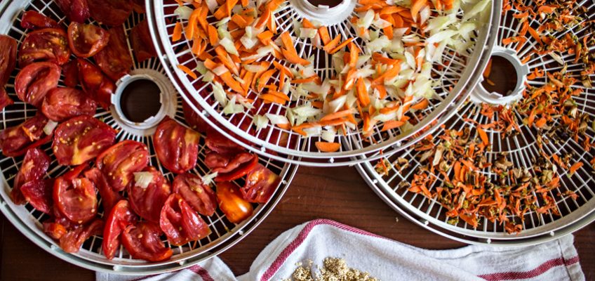 The Seven Major Methods of Preserving Food: A Guide