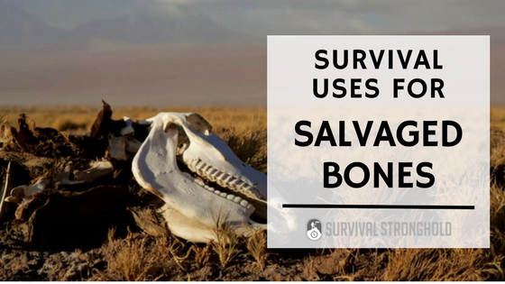 Survival Uses for Salvaged Bones