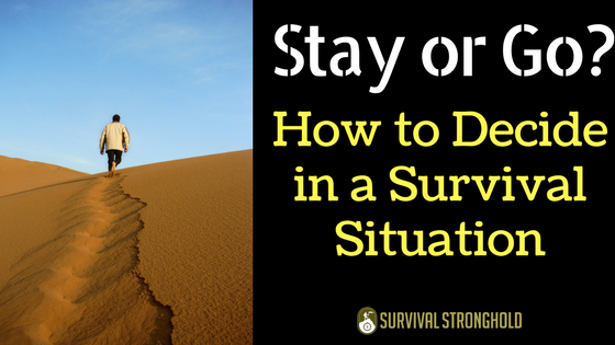 To Stay or to Go: How to Decide in a Survival Situation