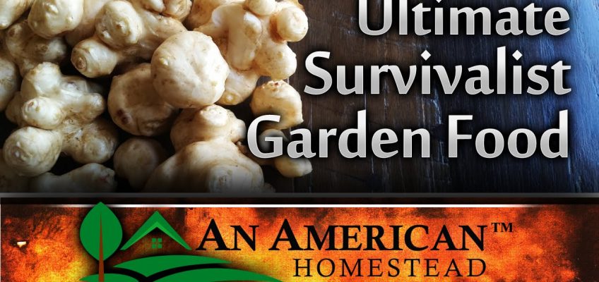 The Ultimate Survivalist Garden Food (Video)