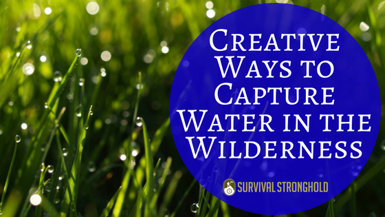 Creative Ways to Capture Water in the Wilderness