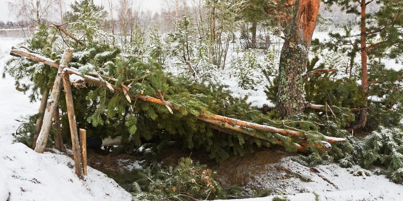 3 Great Shelter Options for Surviving Unexpected Situations