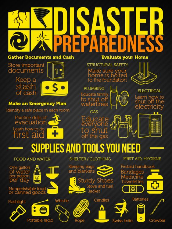 Disaster Preparedness Infographic Survival Stronghold 1017