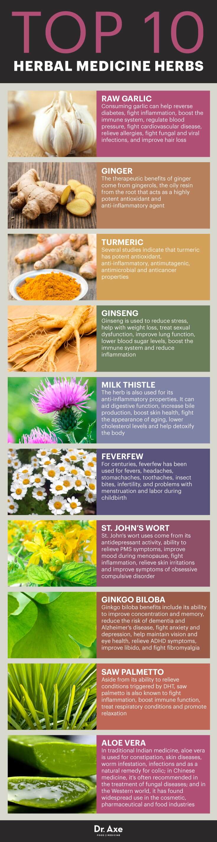 Top Ten Medicinal Herbs (Infographic) – Survival Stronghold