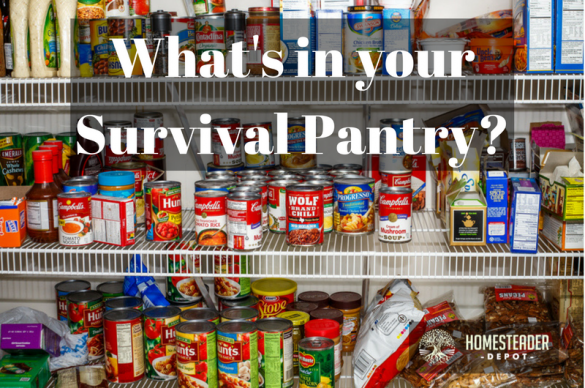 Top 5 Canned Items to Stock – Survival Stronghold